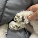 헤이리힐스109 이미지