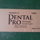 프로덴탈 이미지