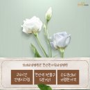 천안우리요양병원 이미지