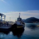 거제지심도 이미지