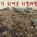 마블농장 이미지