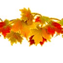 [일원1] 문학 창작 이미지