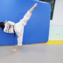 강담태권도 이미지