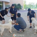 천안동중학교 이미지