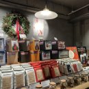 테라브런치 이미지