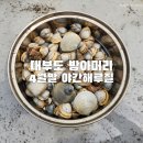 세븐일레븐태안삭선로드점 | 방아머리해변 야간해루질다녀온 솔직한후기