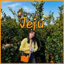 일월카서비스 | 🌴 제주 동쪽 2박 3일 우정여행 기록｜안친오름⛰ 귤따기🍊 숙성도 흑돼지🔥(3일차)