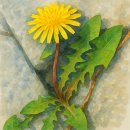 선행정사사무소 이미지