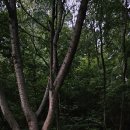 한티가는길 이미지