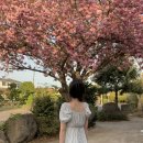 와야1리 경로당 이미지