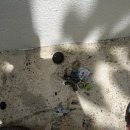 봉곡동011 이미지