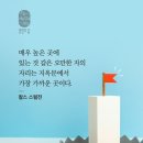 새말 Daum카페