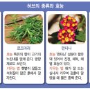 좋은허브