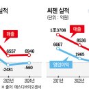 에스디그래픽