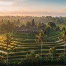 에메랄드호텔에이스 | 발리 자유여행, 이동 때문에 망치지 마세요｜한국어 가이드 단독 투어가 답
