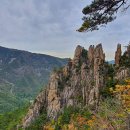 월산무릉아트프라자 이미지