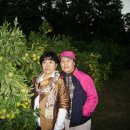 대견농장 이미지