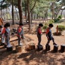 소산서원 유아숲체험원 이미지