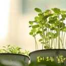 소망의친구들도서관 이미지