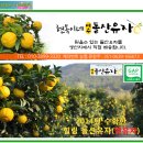 이승수 농장 | 고흥유자마을 | 고흥유자판매 농장정보 사이트정보