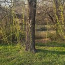 태평주유소 | 봄이다 큰일이다 너무 좋다