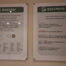 녹주맥반석찜질