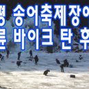 얼음골송어