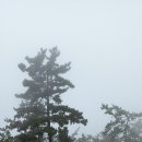 다도해마트