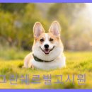 그린고시텔 - 강남구 역삼로 420 | 동대문구 고시텔 추천 그린쉐르빌고시원 신설동역 근접, 편리한 접근성