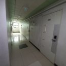 원미로7번길 이미지