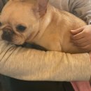 독크루북구점 이미지