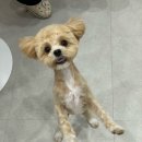 이뻐질개 이미지