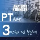 아나토미 스트랭스 이미지