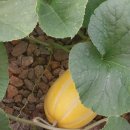 자연과 함께하는 하룻밤 이미지