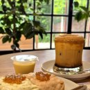 꿀벌(Honey B | [전주/한옥마을] 초록뷰 전주쌀&amp;꿀디저트 워커비 전주🐝