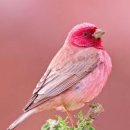 안중레포츠 공원 체육시설 이미지