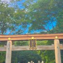 마츠리 | 오사카 히라오카 신사 축제 현지인 90% 찐 마츠리 후기