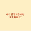 새치 이미지