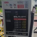 셀세모용인