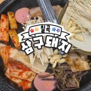 삼구돼지