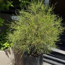 서리풀3길 24 | 행복한 날을 더 행복하게 만들어 주는 서초동 꽃집 루프탑 플라워 후기