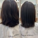 살롱 누보(salon nouvo) | 허쉬컷 & 볼륨매직 (feat. 살롱누보 노원) l 내돈내산