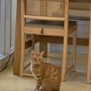 대창인생 이미지