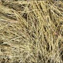 만성농장 이미지