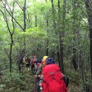 뱀사골야영장 이미지