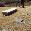 유영유치원 | 잎새에 이는 바람에도 나는 괴로워한다 🌿 260216