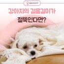 형곡동물병원 이미지