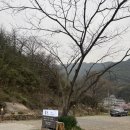 홍인모텔 | 쌍계사 하동 화개 펜션 깔끔하고 깨끗하고 친절한 홍인펜션 101호 내돈내산 숙박후기