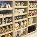 가족뮤지컬 정글북 이미지