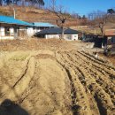 덕신해수욕장 이미지